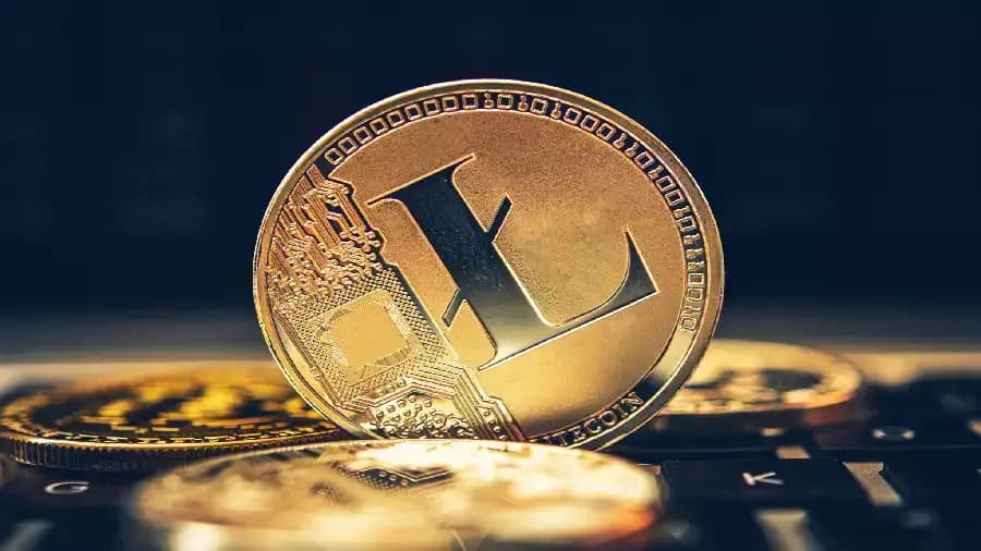 Litecoin Leads All Proof-of-Work Networks in Active Address Usage