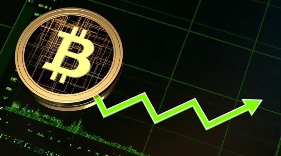 Количество биткоин-кошельков с балансом от 100 BTC приближается к 20 000