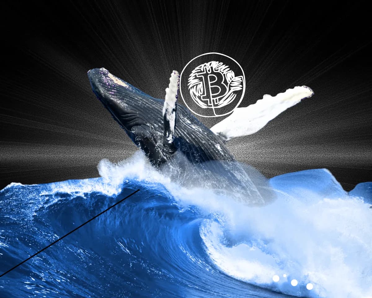 Early Bitcoin Investor Sells 1,000 BTC Bought in 2013 for $71.6M as Whale Activity Surges