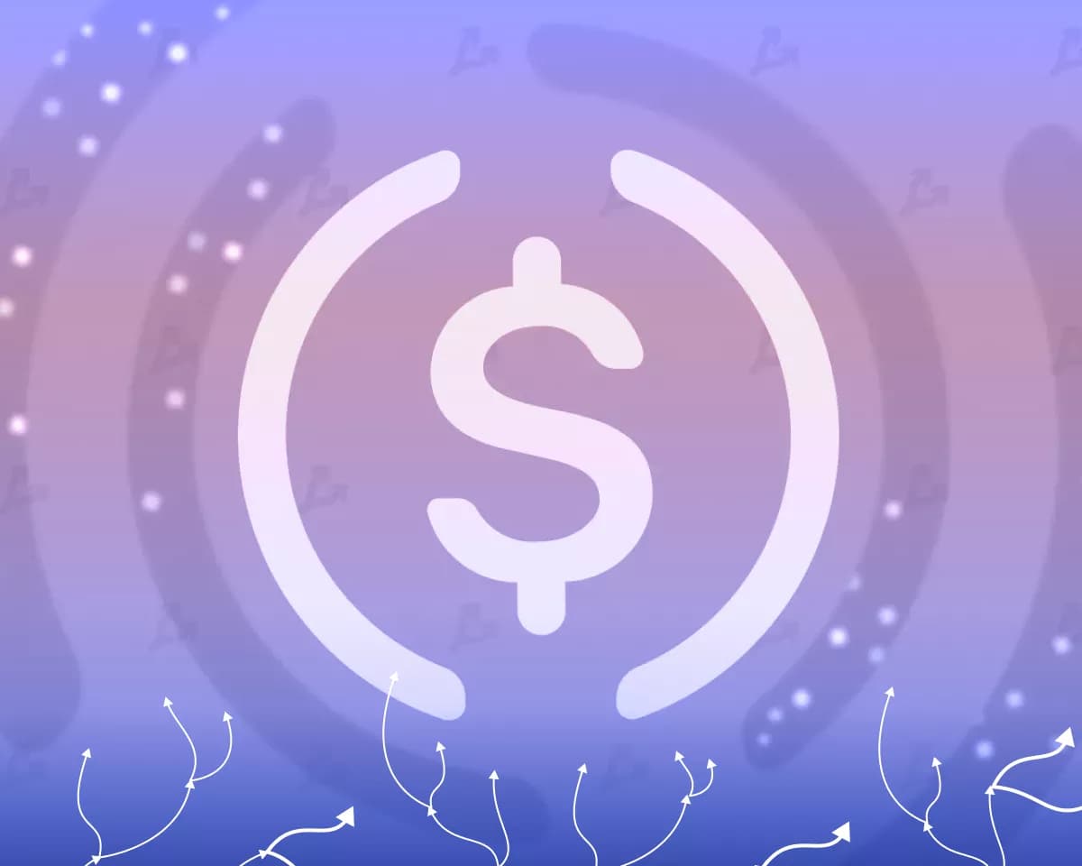 Bitwise прогнозирует рост USDC до $75 млрд после обвала акций Circle на 20%